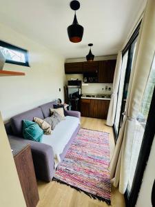ein Wohnzimmer mit einem lila Sofa und einem Teppich in der Unterkunft Pinecone box in Mazamitla