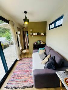 ein Wohnzimmer mit einem lila Sofa und einem Teppich in der Unterkunft Pinecone box in Mazamitla