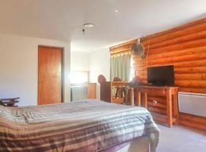a bedroom with a bed and a desk with a television at Cabañas Espacio Prana in Uspallata