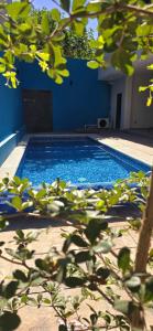 a swimming pool with a blue wall and a tree at Hotel Casa Jima Agave in Tequila