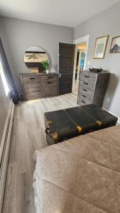 a bedroom with a bed and a dresser and a mirror at Cozy One Bedoom apartment in Saint John