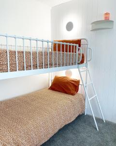 a bunk bed with a bunk ladder next to a pillow at Herea Bunker in Turangi