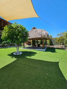 a grass hut with a tree in the middle of a yard at Cozy Cabin in Cumbres del Nacimiento, La Unión Sur in Conchagua