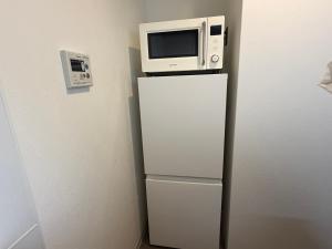 a microwave sitting on top of a refrigerator at レジデグローバル熊本 in Kumamoto