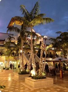 a group of palm trees decorated with christmas lights at Varadero Magical Scape in Miami