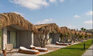 a row of straw umbrellas and chairs outside a resort at LYV Boutique Cabana in Marsa Matruh
