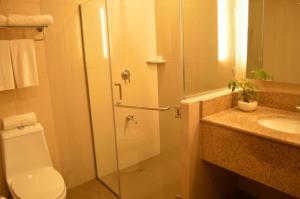 a bathroom with a shower and a toilet and a sink at Hotel Veniz - Session in Baguio