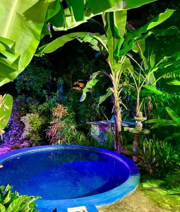 a large blue tub with a tree in a garden at Hotel del Sur in San Juan del Sur