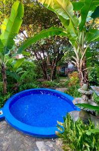 a blue pool in a garden with plants at Hotel del Sur in San Juan del Sur