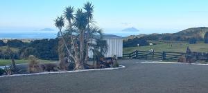 a driveway with palm trees and a white shed at Bream Bay Views in Ruakaka