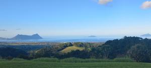 a view of the ocean from a hill with trees at Bream Bay Views in Ruakaka +18 photos