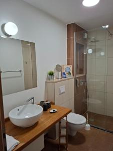 a bathroom with a sink and a toilet and a shower at Villa Cascada in Podgora +37 photos