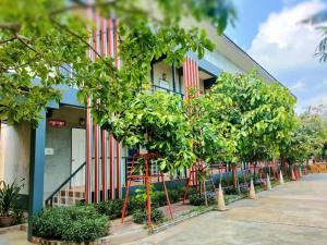 a row of trees in front of a building at Kidthuengpark in Ban Nong Faep