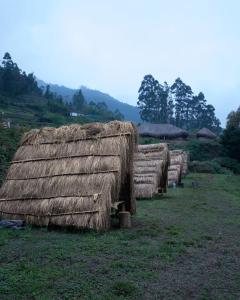 a row of hay covered huts in a field at EKa Forest in Vattavada
