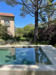 a swimming pool in a yard with a tree at Maison Caramel in Condorcet