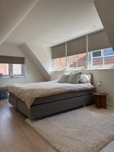 a bedroom with a large bed and two windows at LITTLENEIGHBOUR in Pingjum