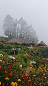 a field of flowers in front of a grass hut at EKa Forest in Vattavada