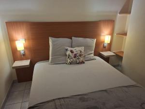 a bedroom with a large bed with two pillows at Cottage Mansart piscine tout équipé in Chaveignes