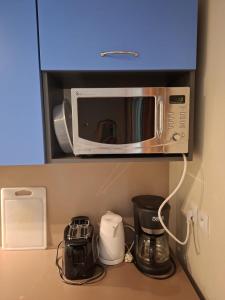 a microwave on a shelf in a kitchen at Cottage Mansart piscine tout équipé in Chaveignes