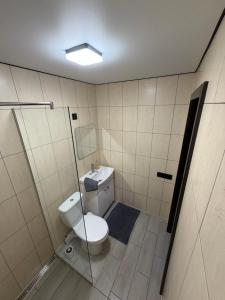 a bathroom with a toilet and a shower at СвояХата in Svityazʼ +59 photos