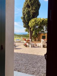 a view of a yard with a tree and a fence at Garda Havens in Castelnuovo del Garda +62 photos