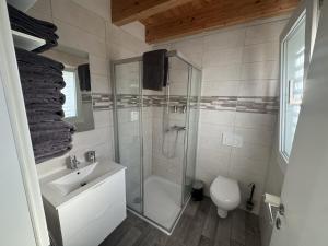 a bathroom with a shower and a sink and a toilet at mytinyhome in Vétroz +35 photos