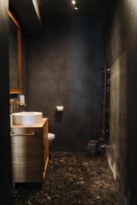 a bathroom with a sink and a toilet at Porumbacu134 in Porumbacu de Sus +79 photos