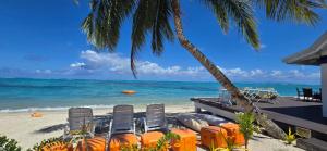 a beach with chairs and a table and a palm tree at Lauiula Beach Club in Pu‘apu‘a