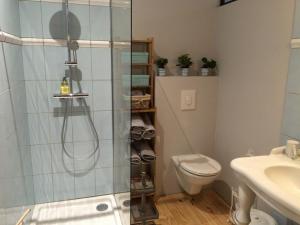 a bathroom with a shower and a toilet and a sink at Domaine Saint Dominique in Saint-Maximin-la-Sainte-Baume