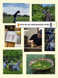 a collage of pictures of a man in a field at Chuidasun Resort Tea & Meditation in Seogwipo