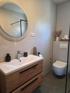 a bathroom with a sink and a mirror and a toilet at Apartman Buba in Jesenice