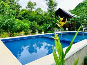 a swimming pool in front of a house at Mango Garden Eco Resort sigiriya in Sigiriya