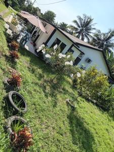 a house with some plants in the grass at Kuntum Cottage Bed & Breakfast in Kampong Tanjong Ipoh