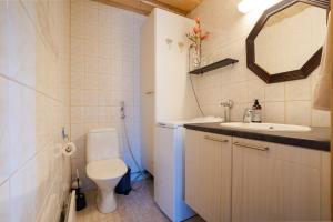 a small bathroom with a toilet and a sink at Villa Alli in Siikainen +22 photos