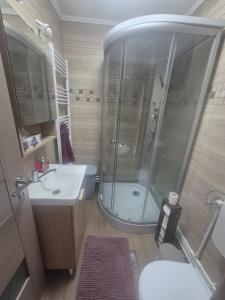 a bathroom with a shower and a sink and a toilet at Cabana La Aurel in Subcetate