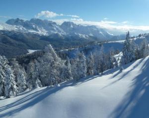 Gallery image of Res.Albar&egrave;/Solaria Apt.Solandra in Mezzana