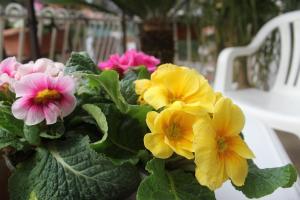 a bunch of flowers in a vase on a table at Residence Antica Via Ostiense. in Acilia