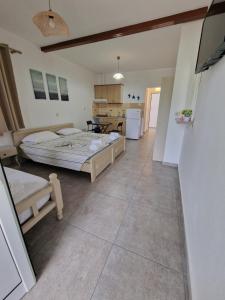 a large room with two beds and a kitchen at VILLA KETI in Leptokarya