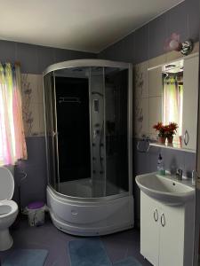 a bathroom with a shower and a sink at Cazare Sandy in Novaci-Străini
