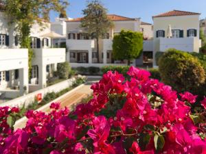a bunch of pink flowers in front of white houses at Nissia Traditional Residences Spetses in Spetses