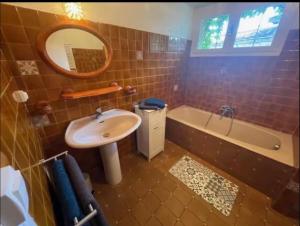 a bathroom with a sink and a tub and a mirror at Le logis d Adrien in Saint-Magne-de-Castillon +13 photos
