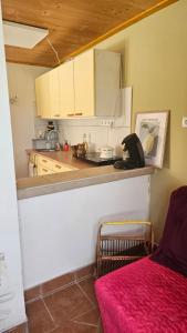 a small kitchen with a counter and a counter top at Zinnia Vendégház in Nagyrada +9 photos