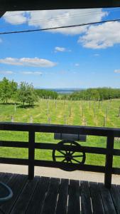 a view of a vineyard from a wooden bench at Zinnia Vendégház in Nagyrada