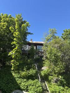 a house on top of a hill with trees at Dockstavägen 7 in Docksta