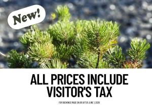 all prices inclusive visitors tax on a christmas tree at Apartment Arvenwald in Kandersteg