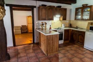 a kitchen with wooden cabinets and a stove top oven at Statek VRANČ - U Kačenky in Bítov