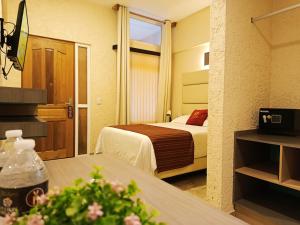 a hotel room with a bed and a television at Hotel Yahalis in Jilotepec de Abasolo
