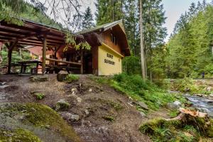a cabin in the woods with a river in front of it at Apartmán Milka in Demanovska Dolina