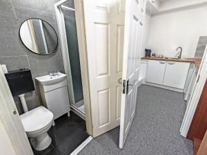 a bathroom with a toilet and a sink and a mirror at Hawthorn Studio - Self Contained One-Bed Studio Flat in Oxford