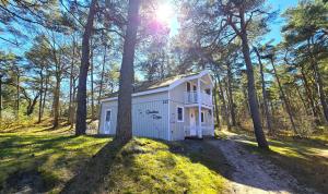 a small white shed in the middle of a forest at Strandhaus Rügen 243 in Baabe +42 photos